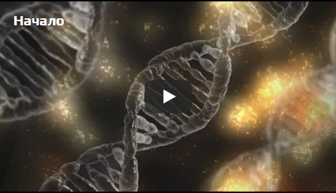 Алхимия - Lee (2018)_0.png